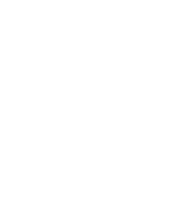 LOVE Havanese model negru pe tricou