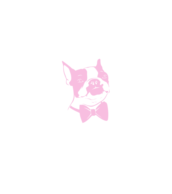 Boston Terrier model alb pe tricou