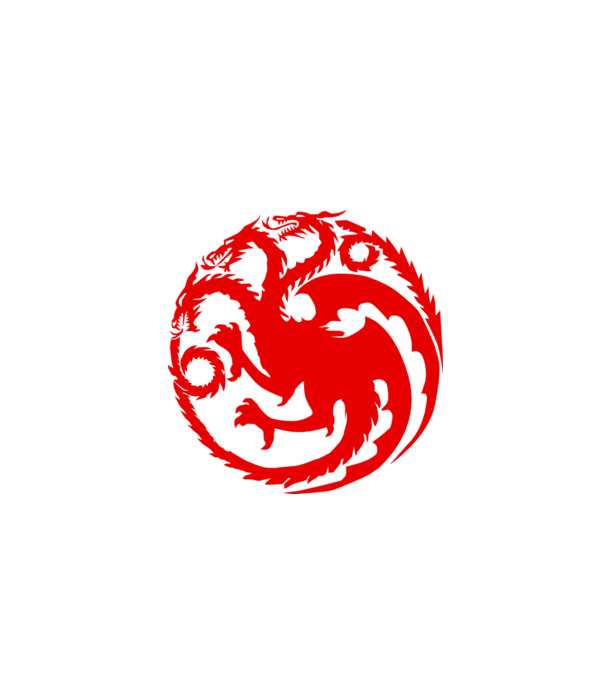 Targaryen model gri pe tricou