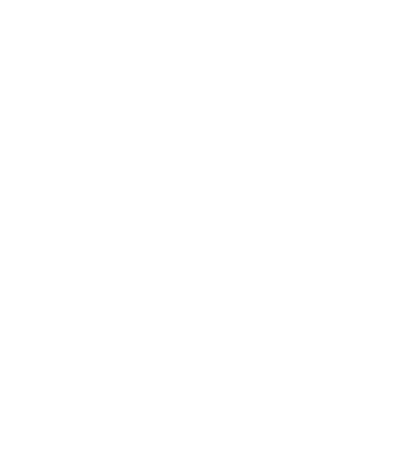 Crazy Cat Ladies are born in February model negru pe tricou