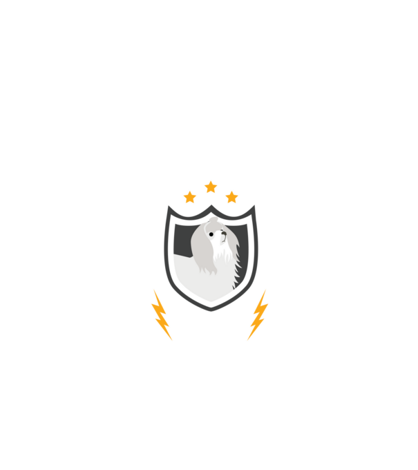 serviciu de securitate - securitate - persistență - 24 de ore pe zi model negru pe tricou