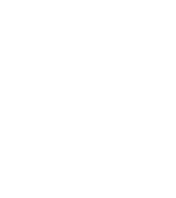 Back to school evolution model gri pe tricou