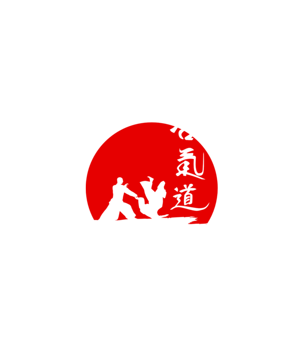 Aikido model negru pe tricou