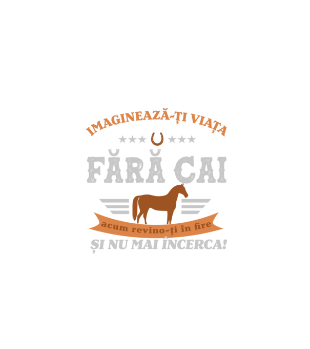 Imaginează-ți viața fără cai, acum revino-ți în fire și nu mai încerca! model negru pe tricou