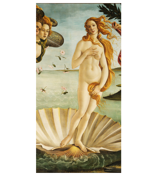 sandro botticelli la nascita di venere model alb pe tricou