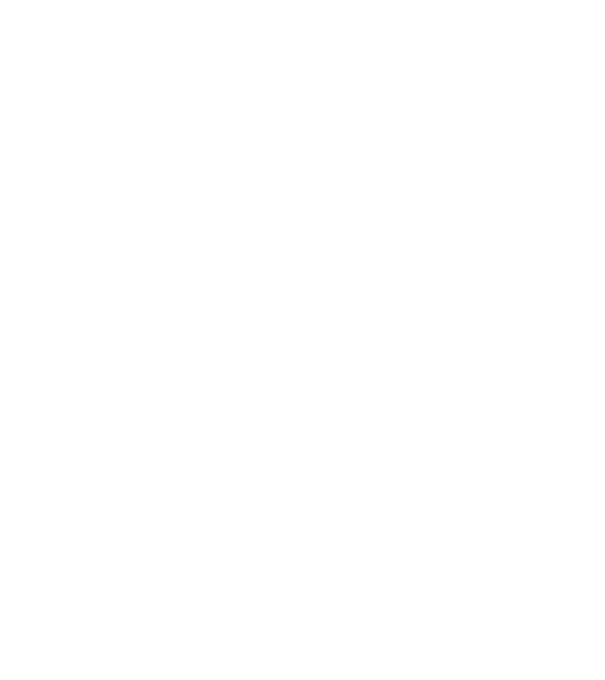 Crazy Cat Ladies are born in January model negru pe tricou
