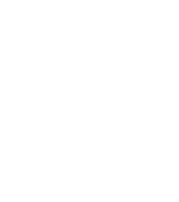 King in The North Wolf model negru pe tricou