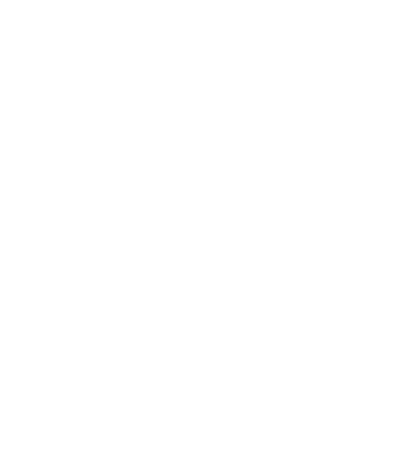 România made in model turcoaz pe tricou
