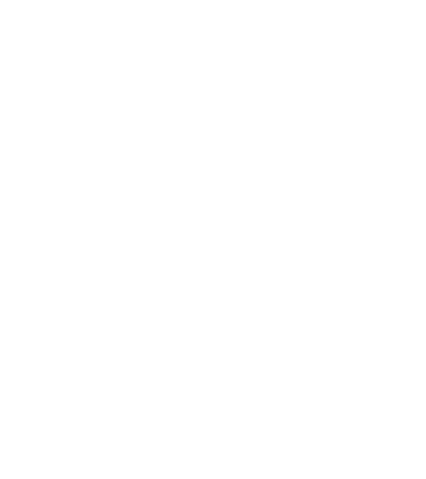 Mr 1 model negru pe tricou