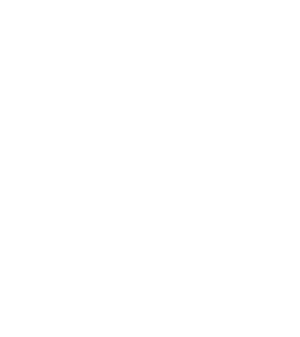 LOVE Havanese model negru pe tricou