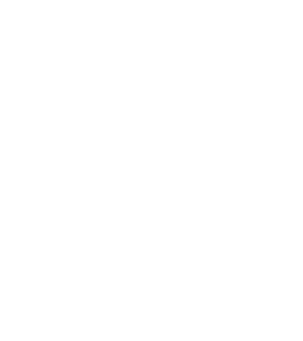 Mr 2 model negru pe tricou