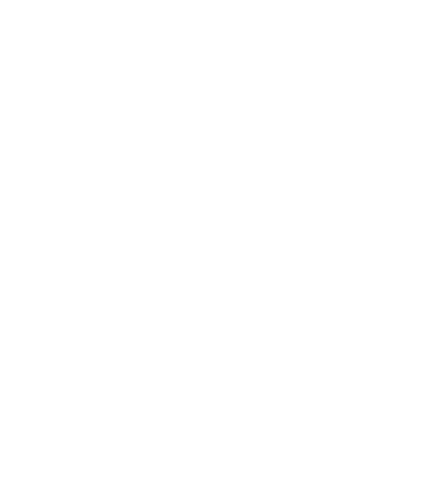 LOVE Border Collie model negru pe tricou