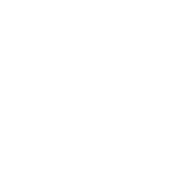România made in model negru pe tricou