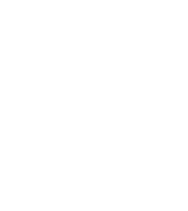 LOVE Border Collie model albastru jeanși pe tricou
