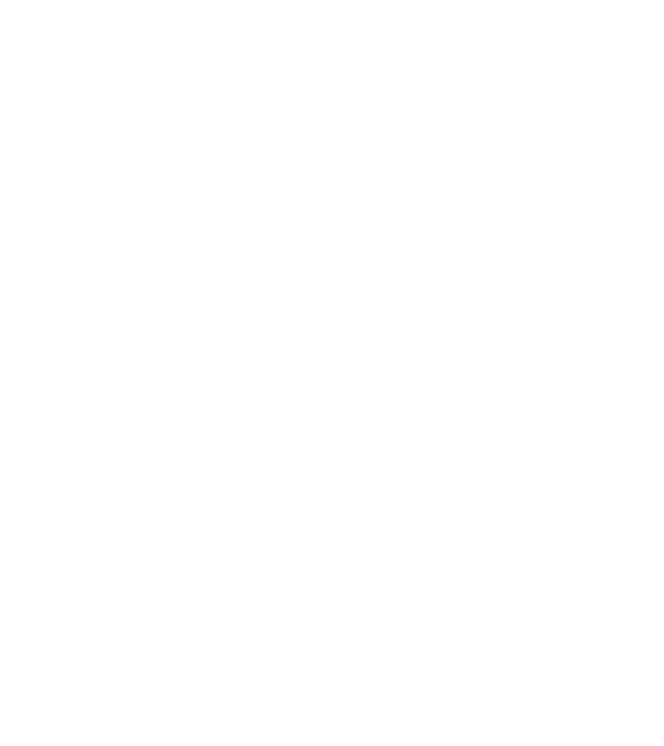 ȘOFER DE CAMION model negru pe tricou