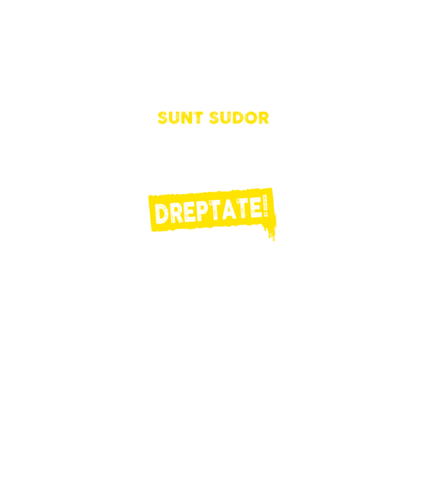 Sunt sudor, pentru a economisi timp, să reținem că am întotdeauna dreptate! model negru pe tricou