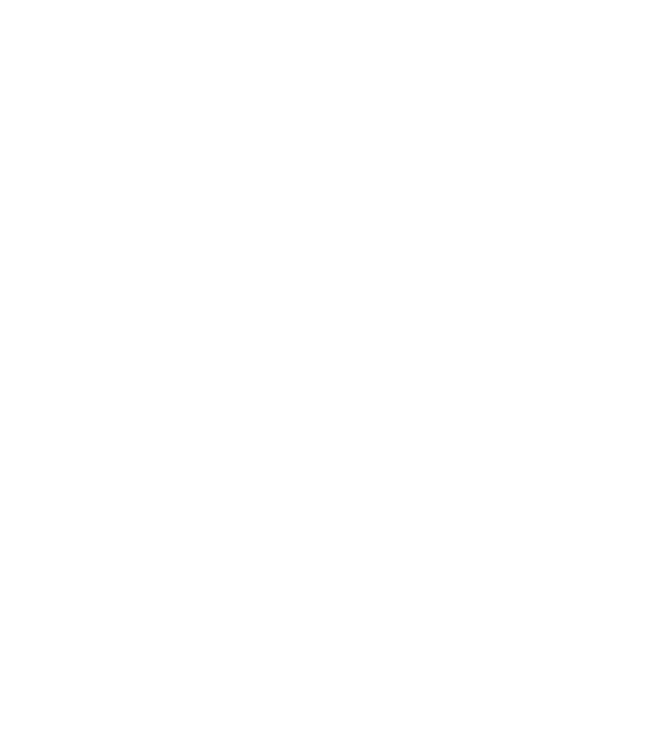 Bug fixed model negru pe tricou