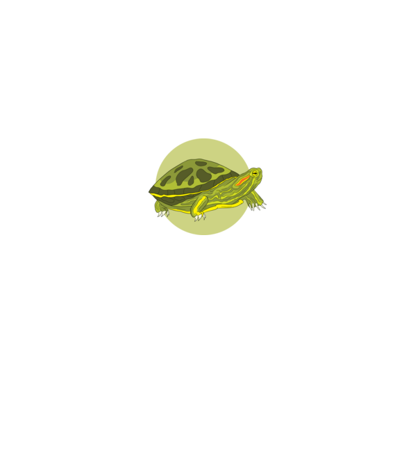 Turtle model negru pe tricou
