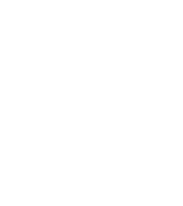 All men are created equal but only the best are born in june model negru pe tricou
