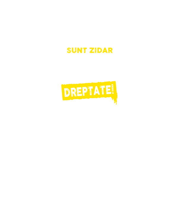 Sunt zidar, pentru a economisi timp, să reținem că am întotdeauna dreptate! model albastru regal pe tricou