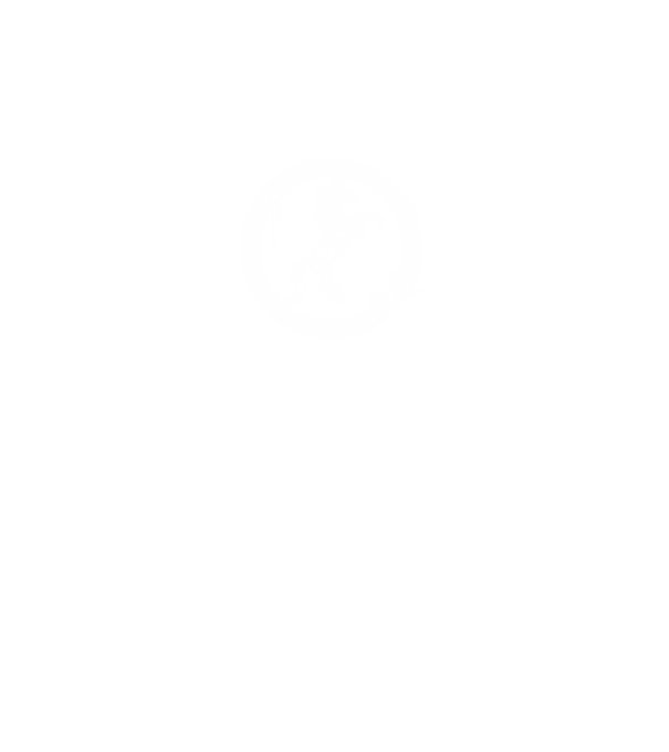 horse badge model negru pe tricou