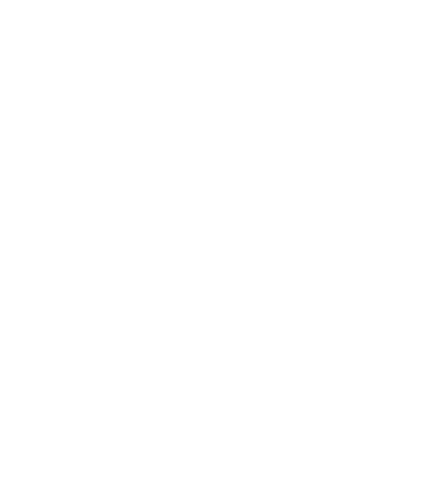 Mr 1 model negru pe tricou