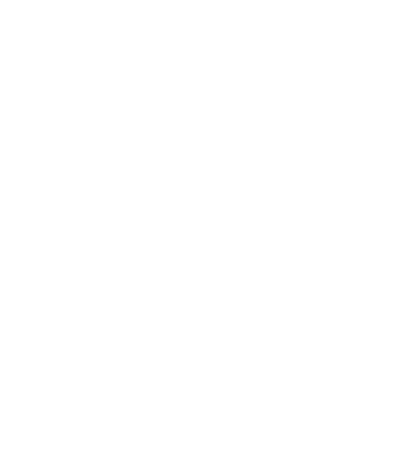 Nimic din această geantă nu-mi aparține. lucruri de mămici... model alb pe tricou