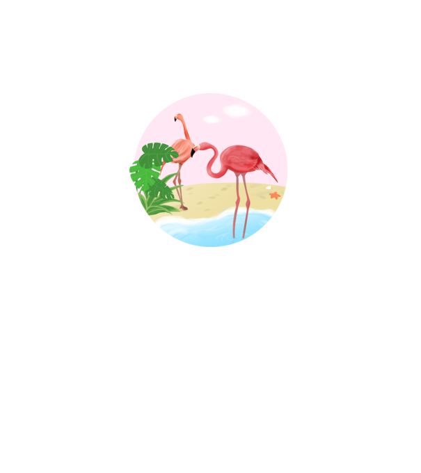 Flamingo model alb pe tricou