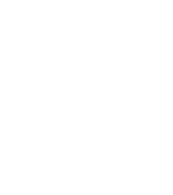 Love Pisică model gri pe tricou