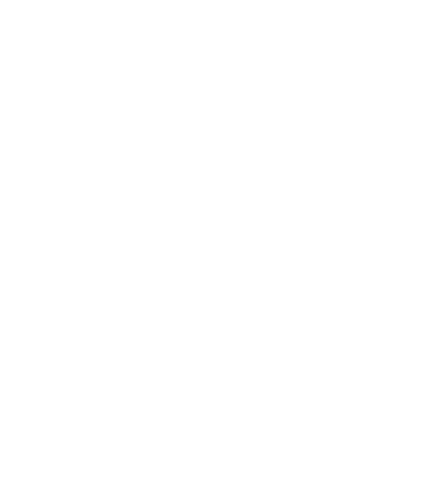 LOVE Border Collie model negru pe tricou