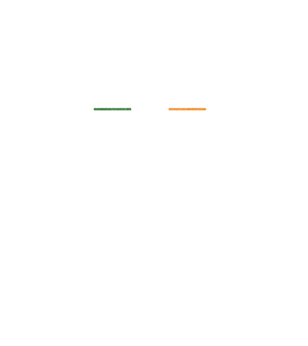 Zero irish model negru pe tricou