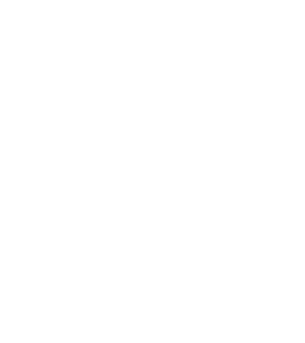 All men are created equal but only the best are born in february model negru pe tricou