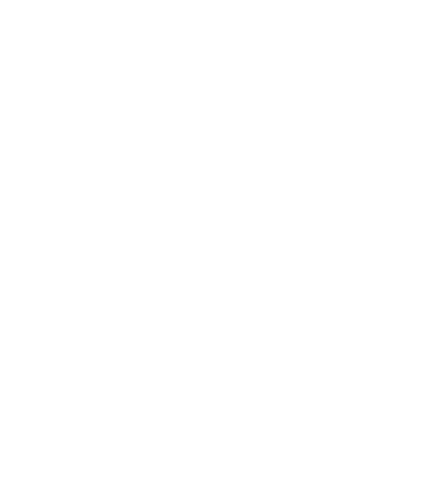 EarthLogo model gri pe tricou