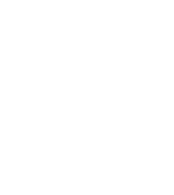 Crazy Cat Ladies are born in November model negru pe tricou