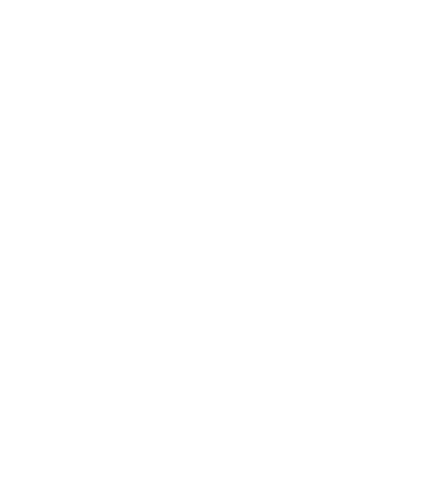 Zugravul model negru pe tricou