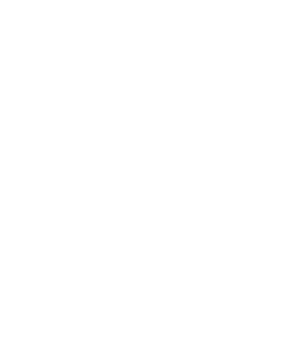 Crazy Cat Ladies are born in June model negru pe tricou