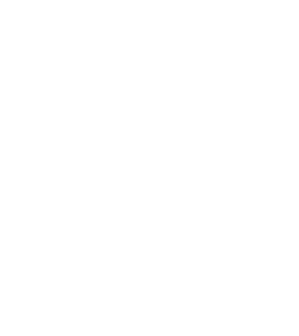 România Dracula 2 model negru pe tricou