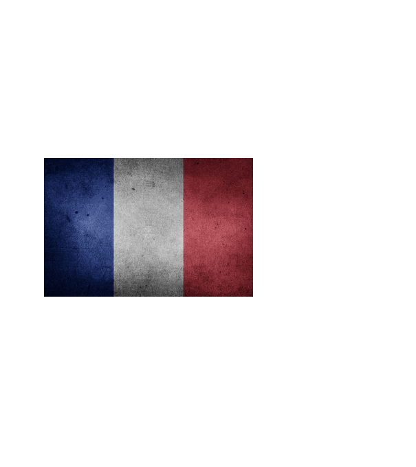FRANCE model alb pe tricou