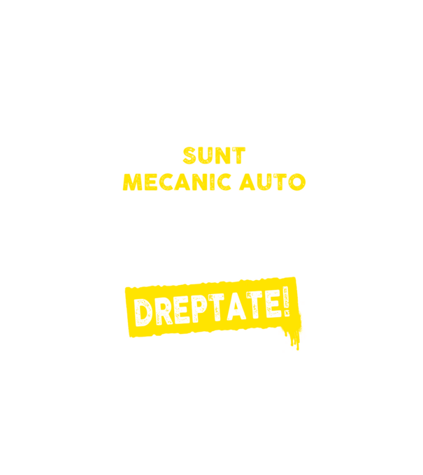 sunt MECANIC AUTO, pentru a economisi timp, să reținem că am întotdeauna dreptate model negru pe tricou