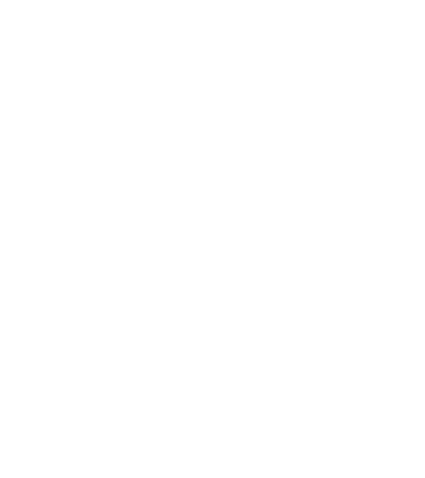 Bunicdidas model alb pe tricou