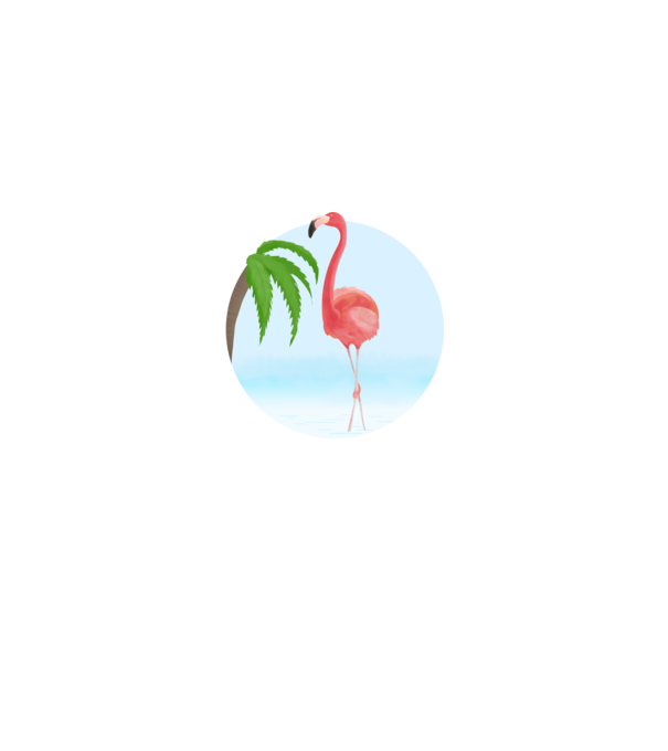 Flamingo model alb pe tricou