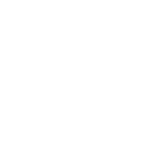 Așa arată un stăpân de Vijla foarte chipeș model negru pe tricou
