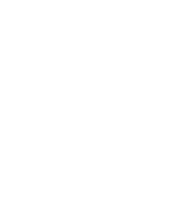 LOVE Staffordshire Terrier model negru pe tricou