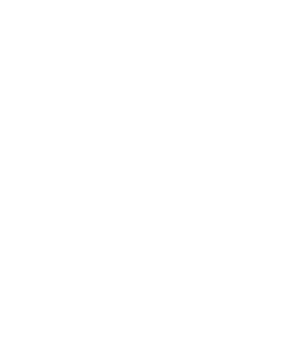 Box evoluție model negru pe tricou