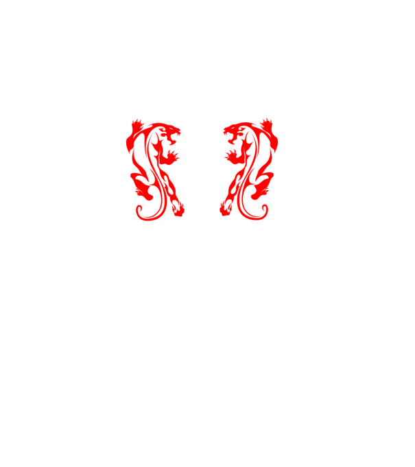 Aikido 2 model negru pe tricou