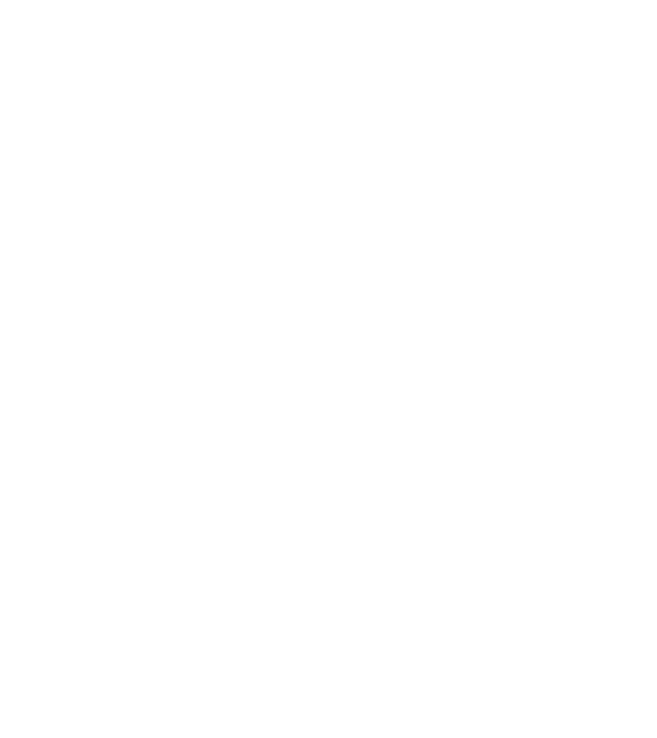 Camion 2. model turcoaz pe tricou