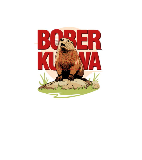 BOBER model alb pe tricou