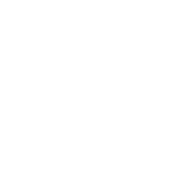 Cei mai buni au gemeni model negru pe tricou