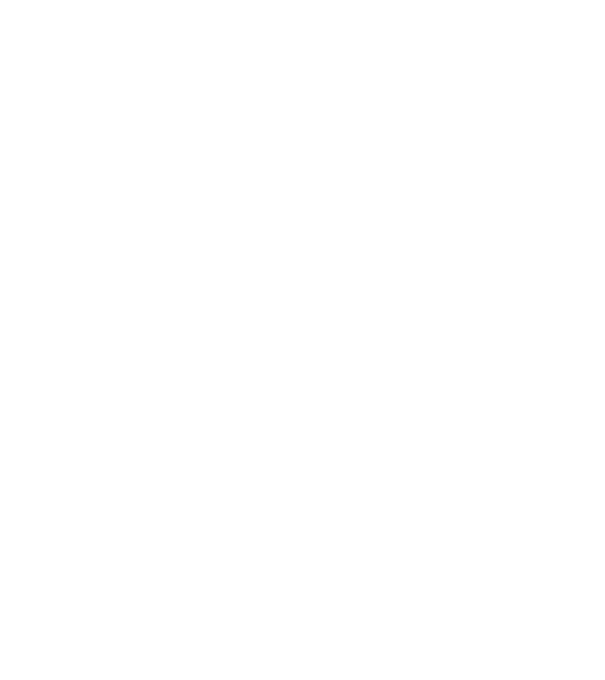 All men are created equal but only the best are born in february model albastru închis pe tricou