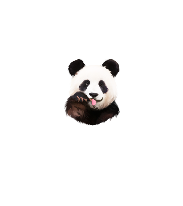Panda face model turcoaz pe tricou